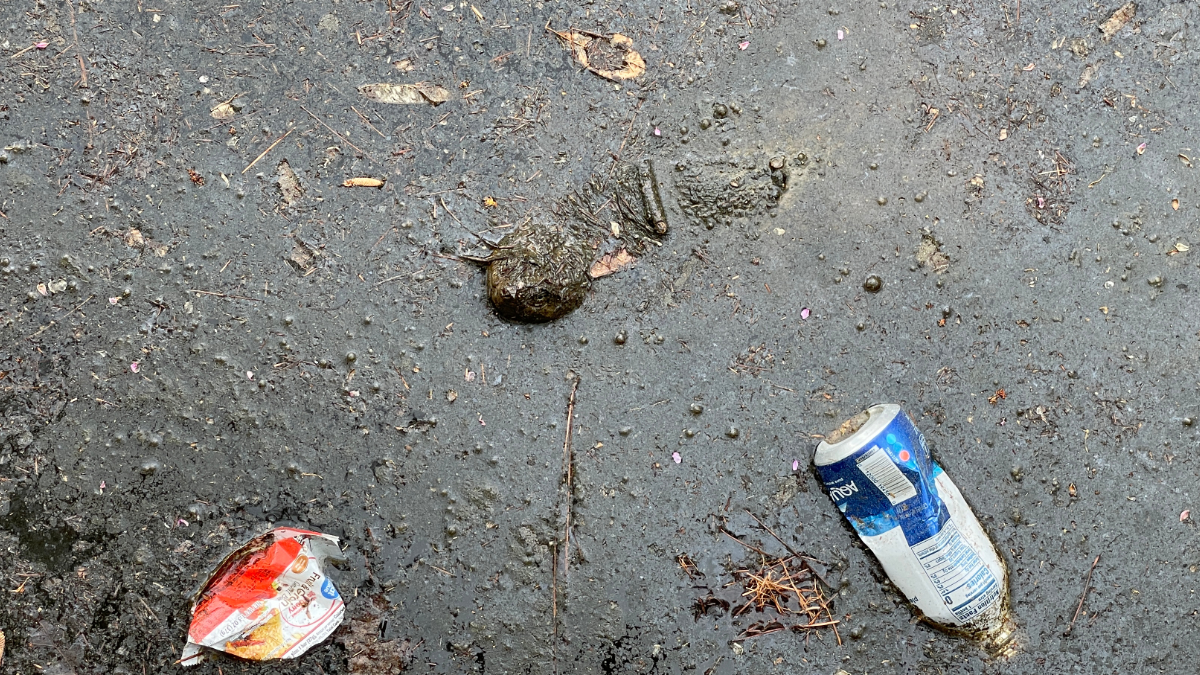 A turtle peeking up from dirty water