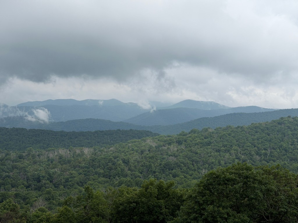 Shenandoah