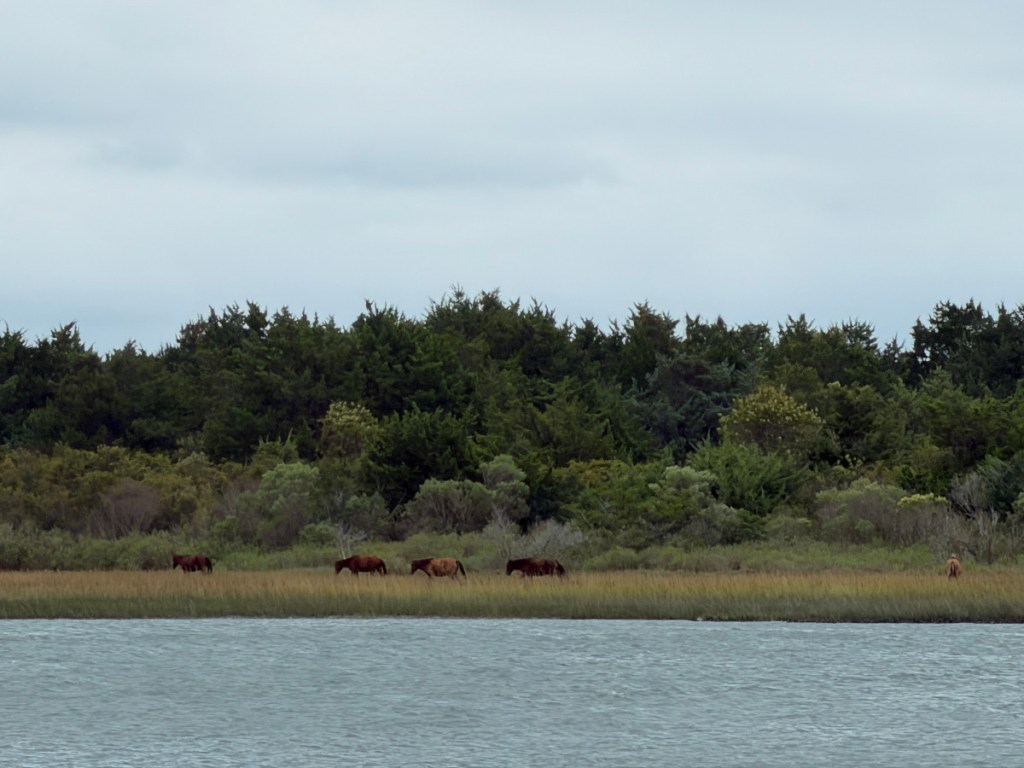 Beaufort, Pine Knoll Shores, and New&nbsp;Bern